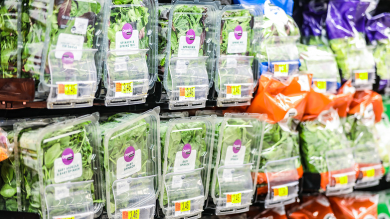 Packages of salads being sold at a grocery store