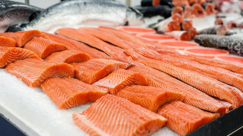 Many salmon filets on ice