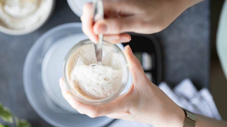 Hands of woman holding glass jar with sourdough starter