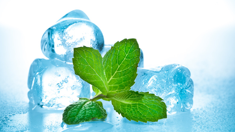 fresh mint and ice