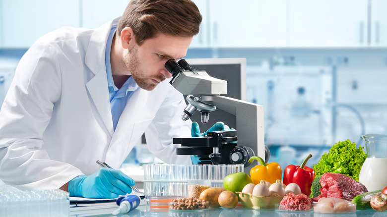 Scientist appears to be studying foods
