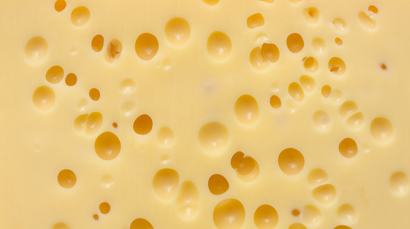 The Scientific Reason Swiss Cheese Has Holes