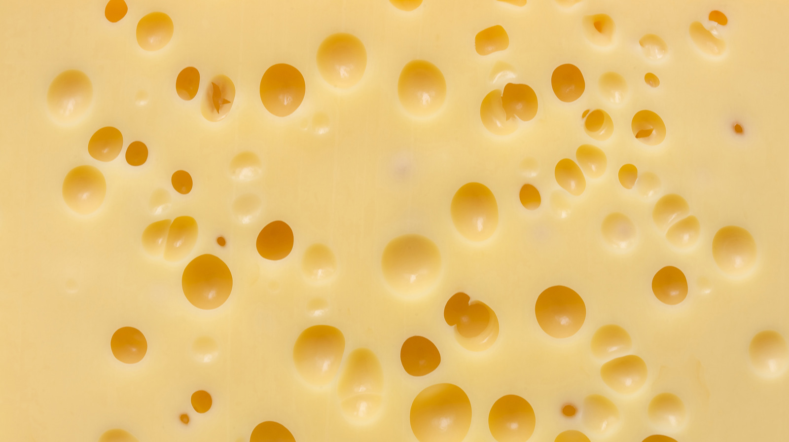 Swiss Cheese Brain Symptoms At Milla Stelzer Blog Swiss Cheese Brain Symptoms At Milla Stelzer Blog