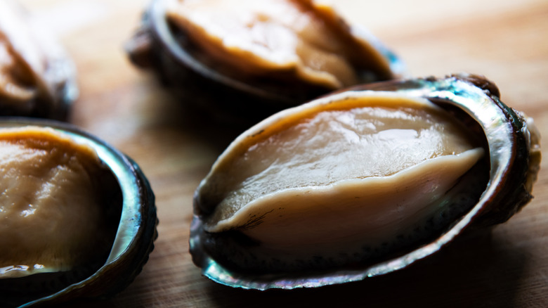 A closeup of raw abalone in the shell