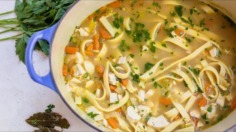 chicken noodle soup displayed with spoon