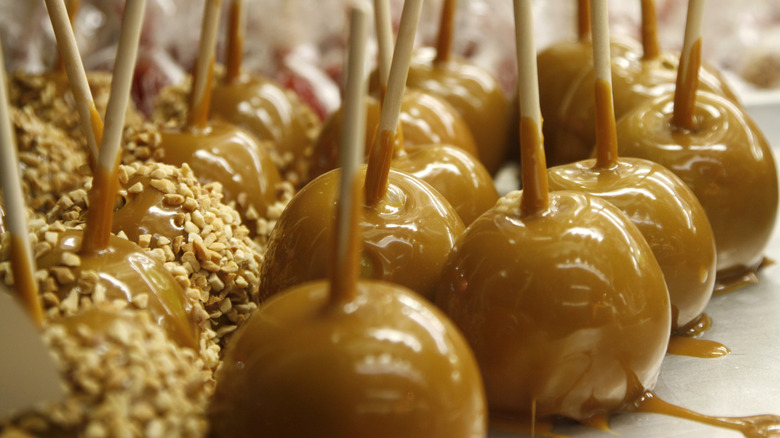 Caramel apples on sticks with and without nuts on parchment paper.