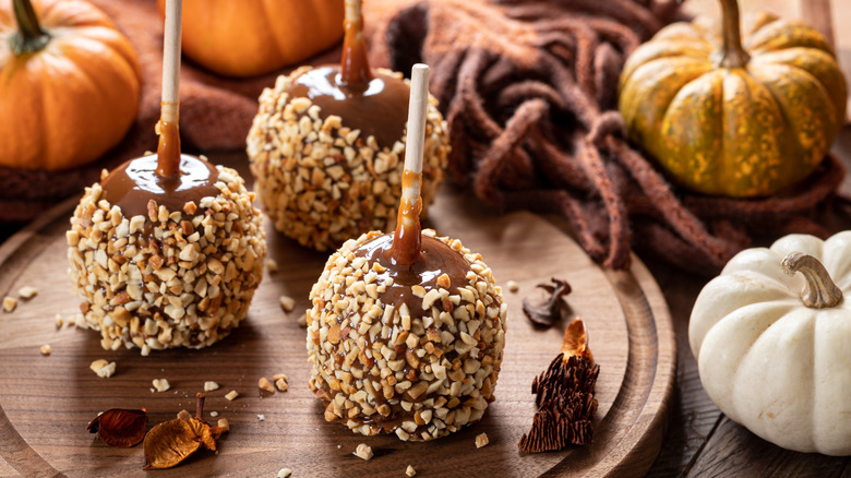 Caramel apples with chopped nuts on a wooden cutting board and decorative pumpkins nearby.