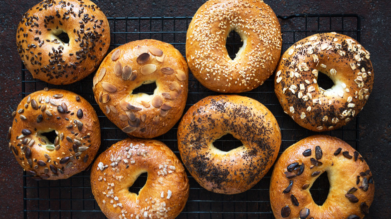 variety of smooth-topped bagels