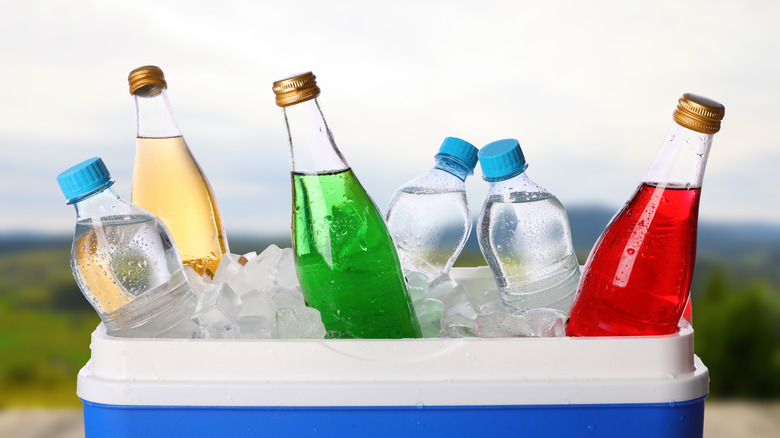 a blue plastic cooler filled with ice and six bottes
