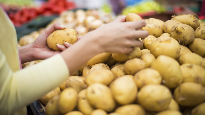 Woman's hands grabbing whole potatoes from large pile in market