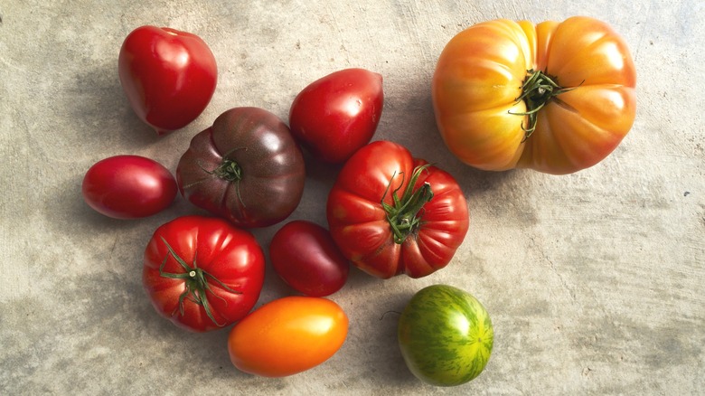 Whole red, purple, orange, and green heirloom tomatoes on concrete surface