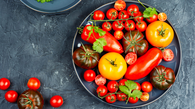 assortment of different tomato varieties on a plate