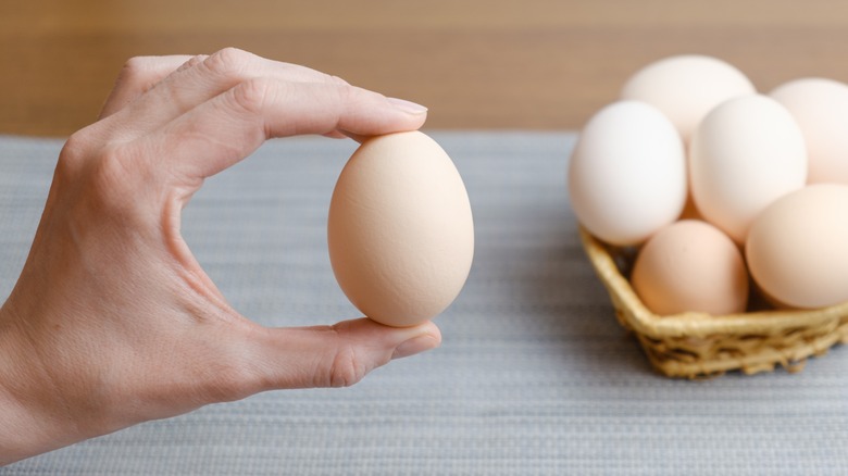 Person holding an egg