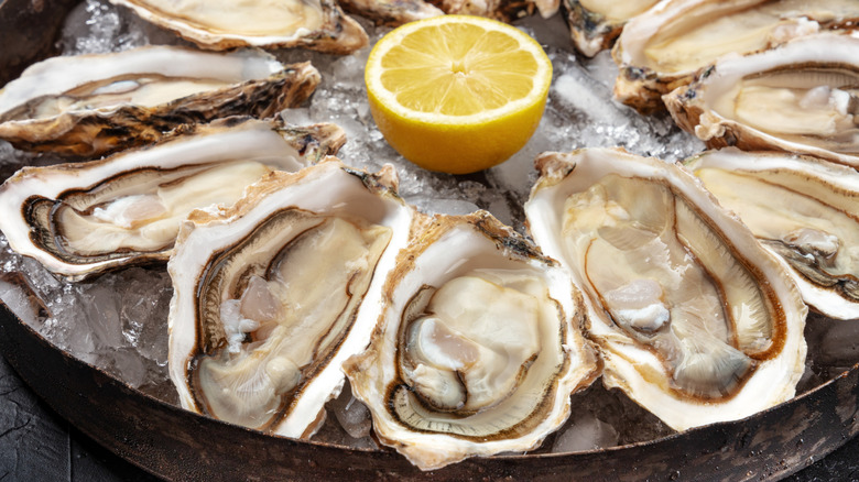 Close-up of oyster platter with lemon