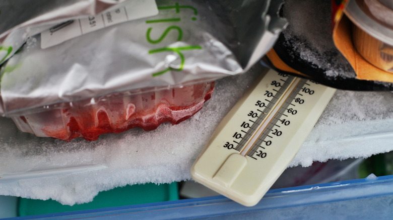 A thermometer is nestled under food in a freezer.