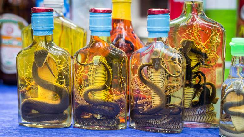 snakes bottled in alcohol