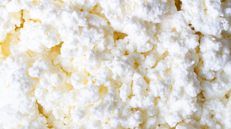 Clumpy cottage cheese as background image