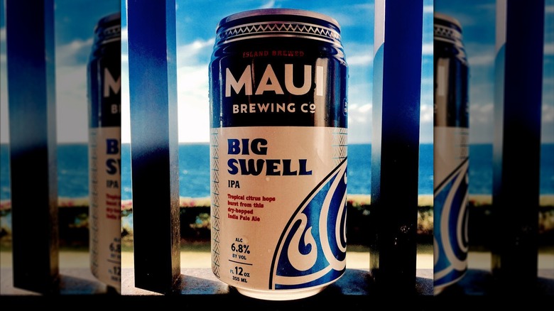 A can of Big Swell IPA sits on a railing with a tropical ocean in the background