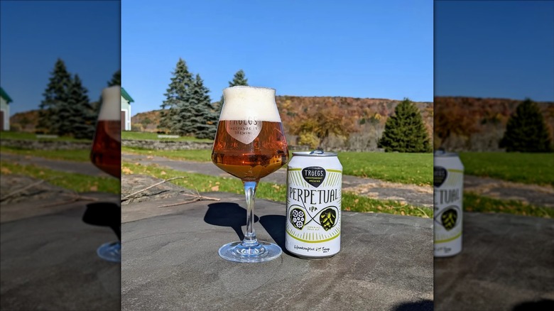 A can of Perpetual IPA next to a full, long-stemmed beer glass on an outside picnic table.