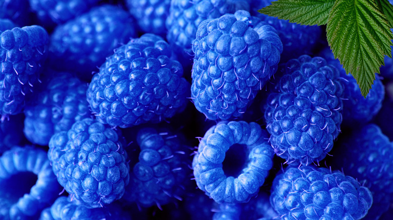 Blue raspberries