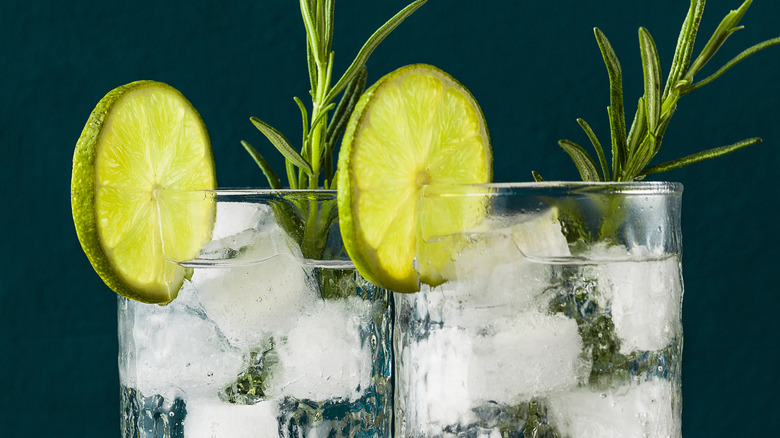 Classic gin and tonic