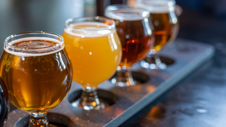 a flight of four different craft beers