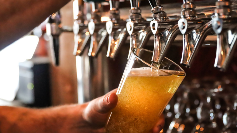 A pint of beer being filled at one of more than a half dozen taps