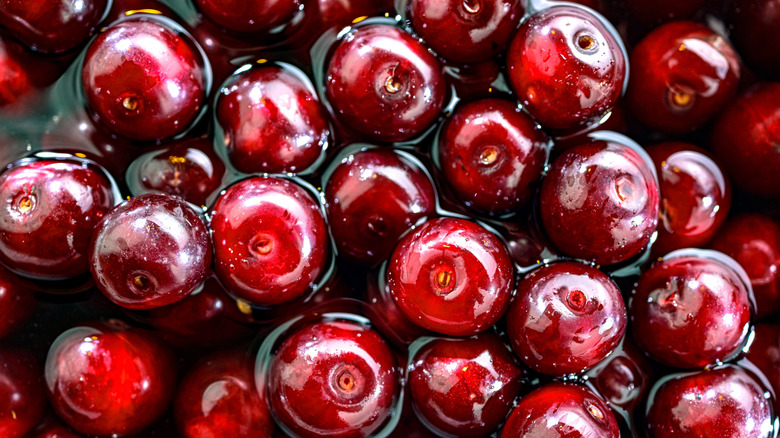 Stemmed tart cherries