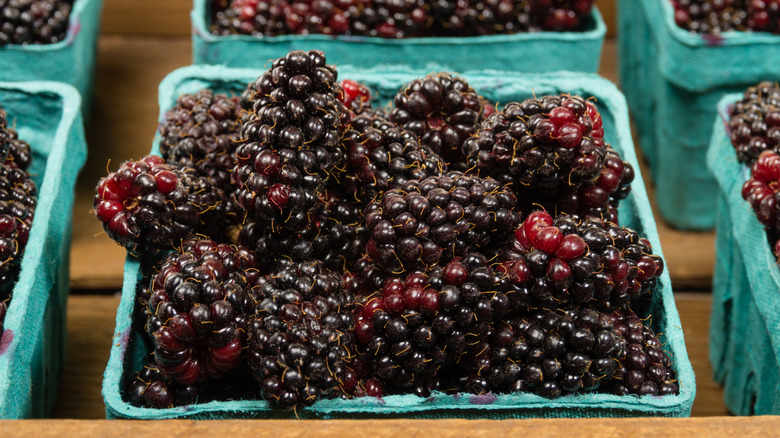 Marionberries in outdoor market