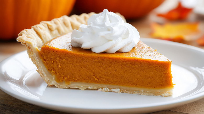 A single slice of pumpkin pie is served on a white plate and topped with a single dollop of whipped cream
