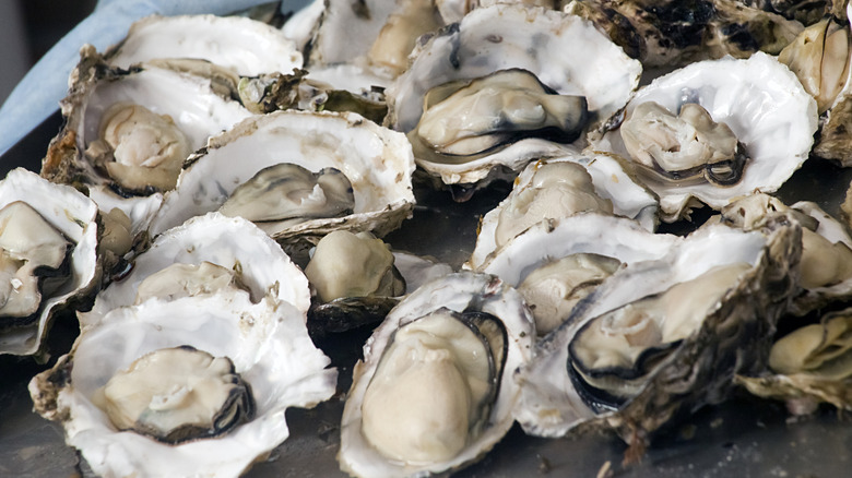 Open, raw oysters