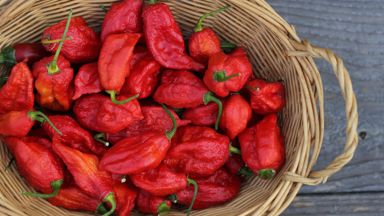 ghost peppers in a basket
