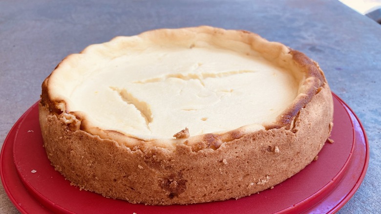 Traditional Czech cheesecake on a red plate