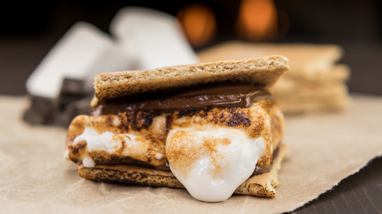 s'more with graham crackers and chocolate