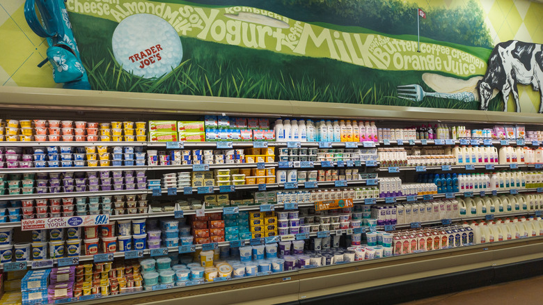 yogurt section at Trader Joe's