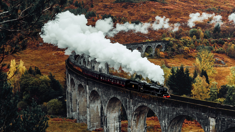 train in Scotland 