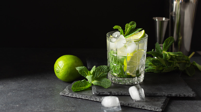 Mojito cocktail with ice cubes 