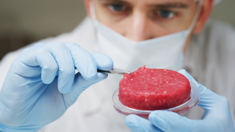 Scientist inspecting meat