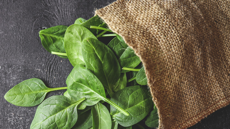 spinach coming out of bag