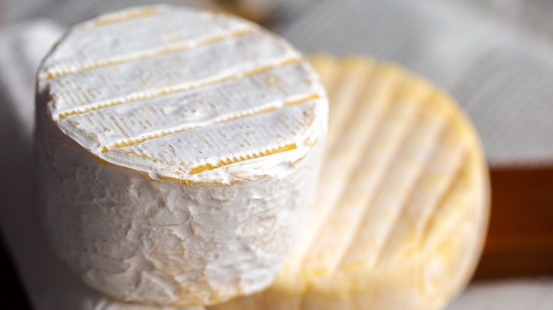 Rind cheese