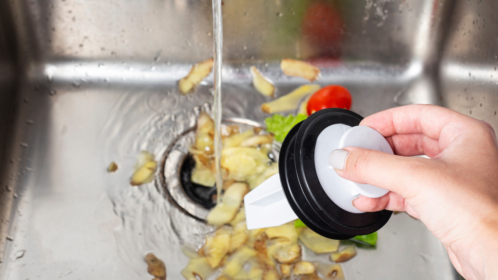 The Type Of Veggies You Should Keep Far Away From Your Garbage Disposal