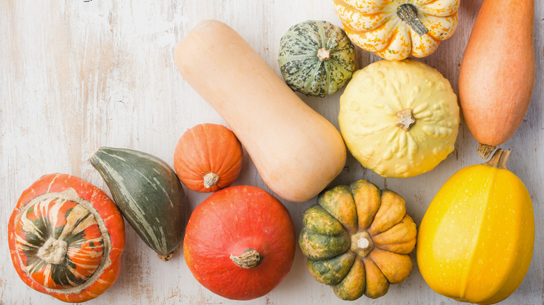 Various types of winter squash