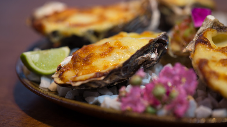 closeup baked oyster with cheese