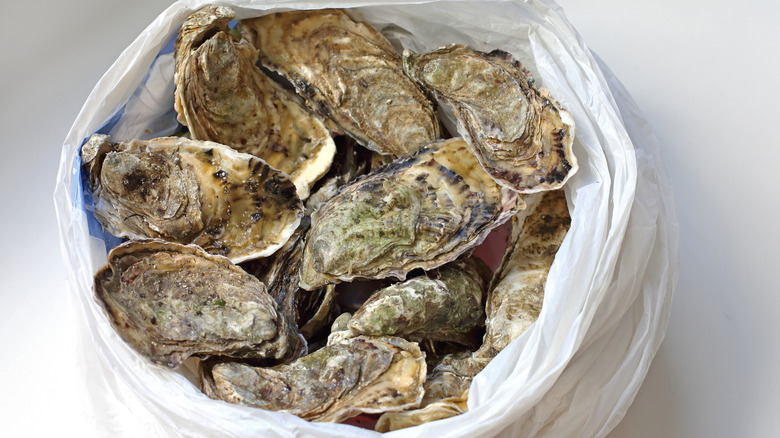 bag of oysters