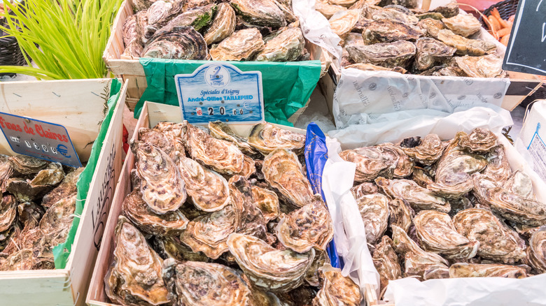 assorted oysters at fish market
