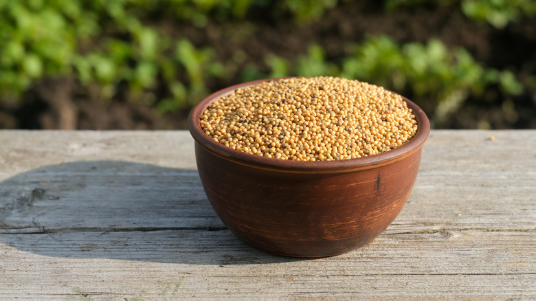 Mustard seeds in clay bowl outdoors