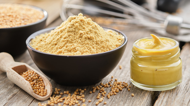 Bowl of mustard powder in between mustard seeds and prepared mustard