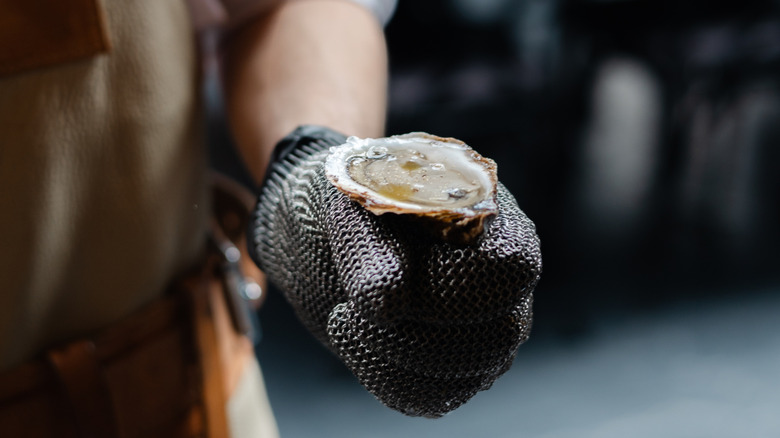 A person wearing a protective glove balances an oyster on the side of their hand