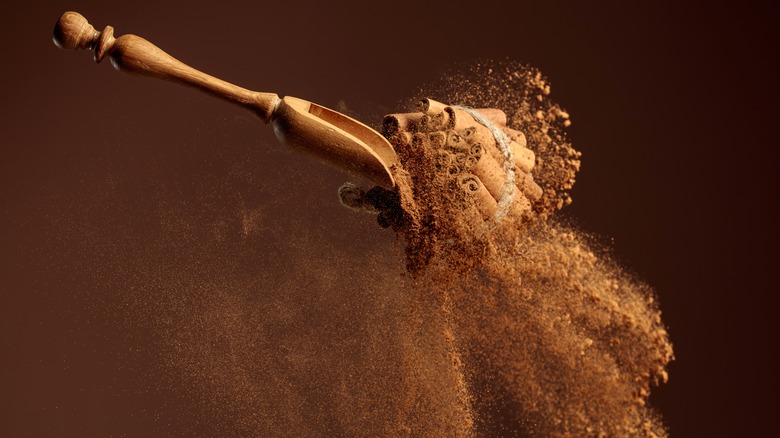 A spoon of cinnamon powder and sticks