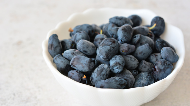 A white bowl full of dark bluish-purple haskap berries